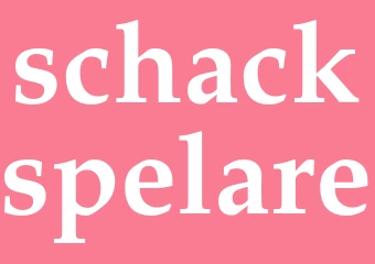 Synonym schackspelare