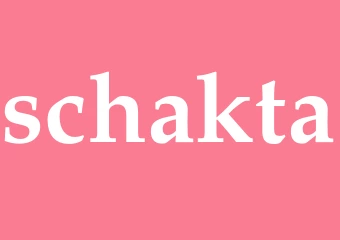 Synonym schakta