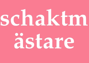 Synonym schaktmästare