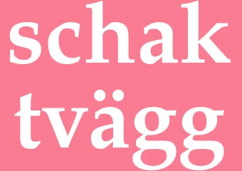 Synonym schaktvägg