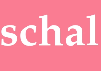 Synonym schal