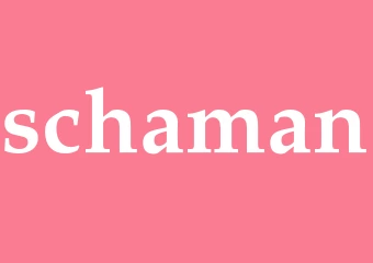 Synonym schaman
