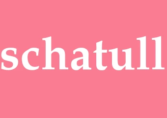 Synonym schatull
