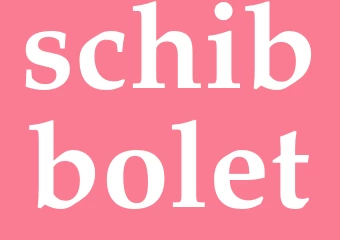 Synonym schibbolet