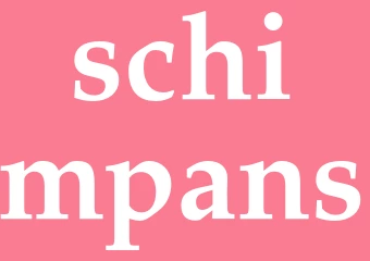 Synonym schimpans