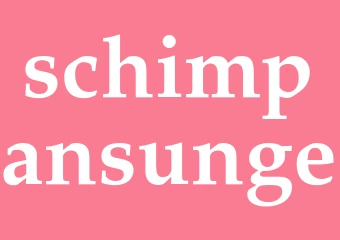 Synonym schimpansunge