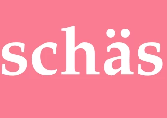 Synonym schäs