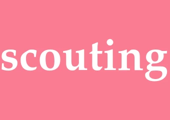 Synonym scouting