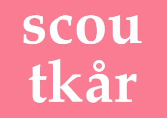 Synonym scoutkår