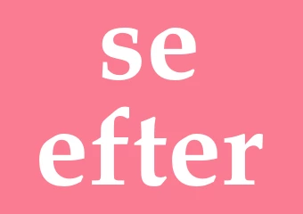 Synonym se efter