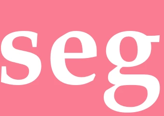 Synonym seg