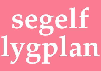 Synonym segelflygplan