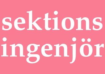 Synonym sektionsingenjör