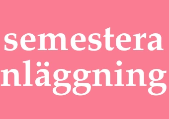 Synonym semesteranläggning