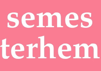 Synonym semesterhem