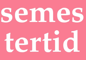 Synonym semestertid