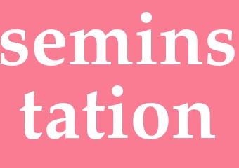 Synonym seminstation