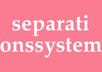 Synonym separationssystem
