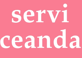Synonym serviceanda