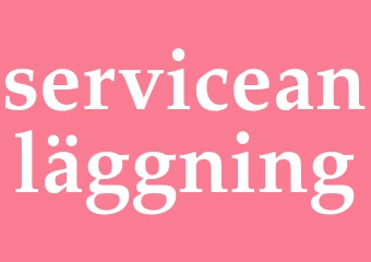 Synonym serviceanläggning