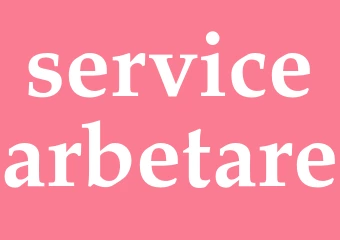 Synonym servicearbetare