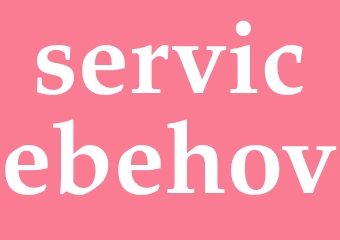 Synonym servicebehov