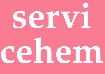 Synonym servicehem