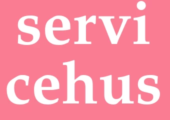 Synonym servicehus