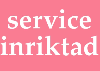 Synonym serviceinriktad