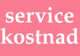 Synonym servicekostnad
