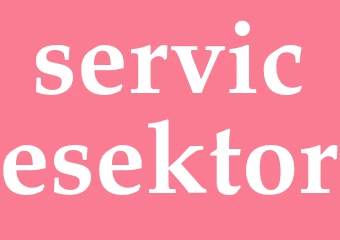 Synonym servicesektor