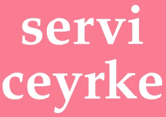 Synonym serviceyrke