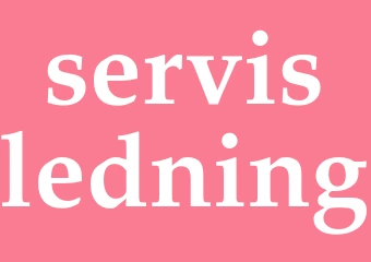 Synonym servisledning