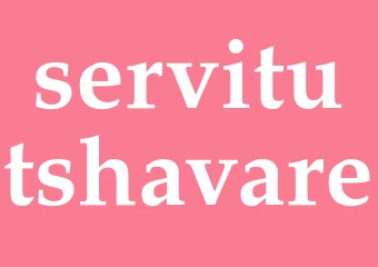 Synonym servitutshavare