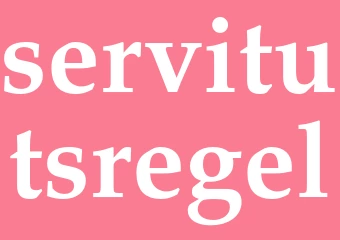 Synonym servitutsregel