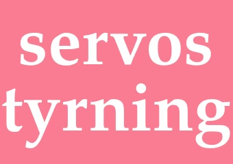 Synonym servostyrning
