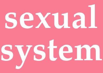 Synonym sexualsystem
