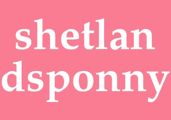 Synonym shetlandsponny
