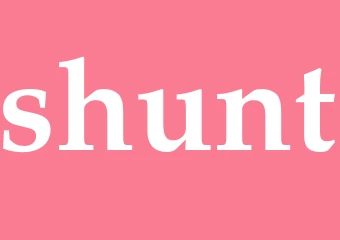 Synonym shunt