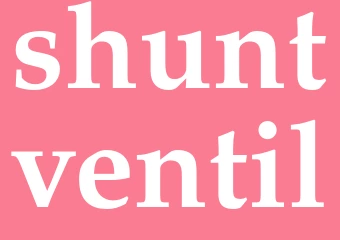 Synonym shuntventil