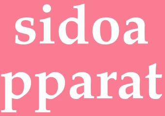 Synonym sidoapparat