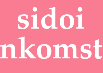 Synonym sidoinkomst