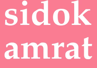 Synonym sidokamrat