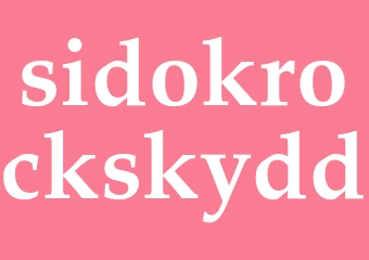 Synonym sidokrockskydd