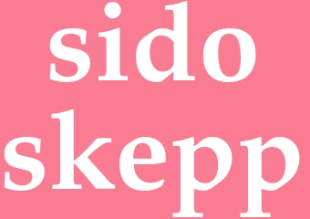 Synonym sidoskepp