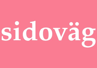 Synonym sidoväg