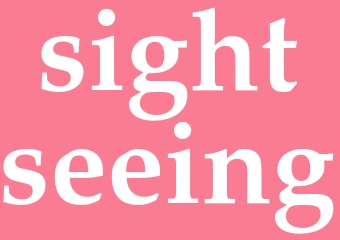 Synonym sightseeing