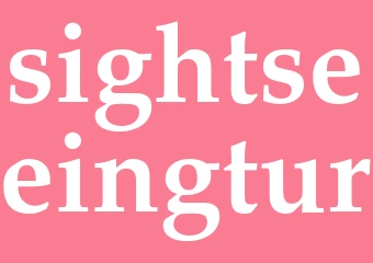 Synonym sightseeingtur