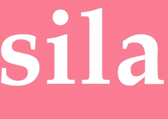 Synonym sila