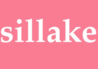 Synonym sillake